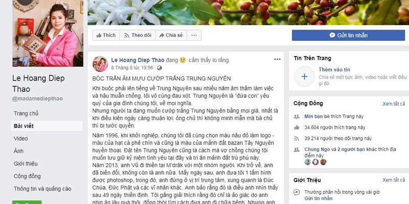 Nhung lan ba Le Hoang Diep Thao phan ung gay gat tren mang xa hoi-Hinh-3