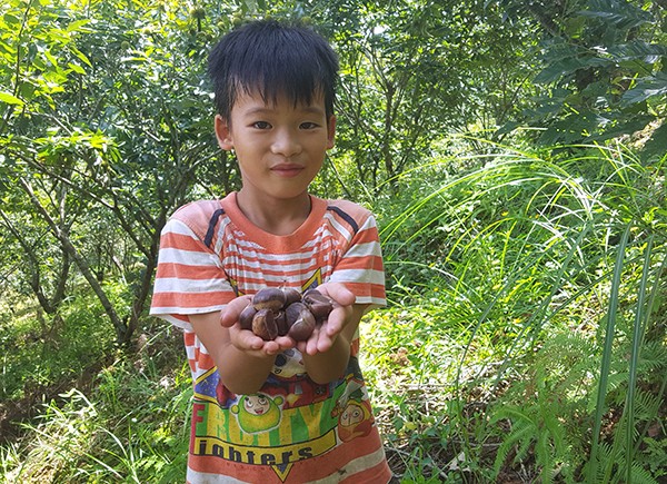 Nhat hat de thue: Viec lam thich me, hai ra tien tram/ngay-Hinh-2