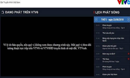 Vi sao VTV6 phai dung phat song tran Viet Nam vs Bahrain?-Hinh-3