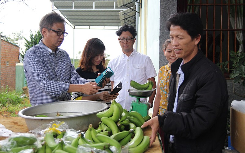 Can canh vuon chuoi chinh phuc ca thi truong Nhat 