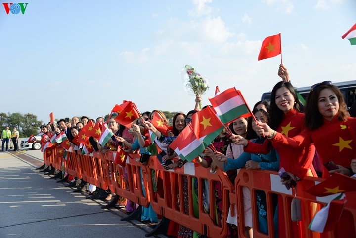 Le don Tong bi thu Nguyen Phu Trong tai san bay Hungary-Hinh-7