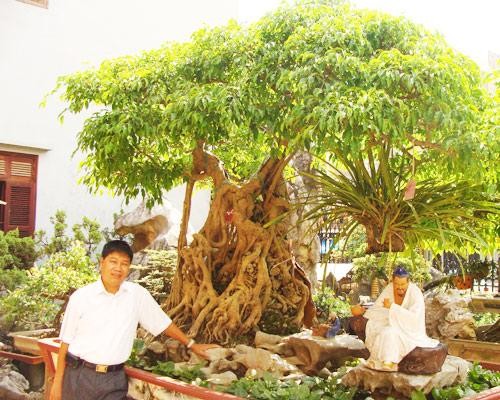 Choang ngop vuon bonsai bac ty cua dai gia tinh le-Hinh-5