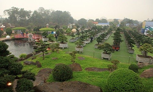 Choang ngop vuon bonsai bac ty cua dai gia tinh le-Hinh-6