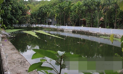 Biet phu trai phep sieu dep cua dai gia vang o Da Nang-Hinh-9