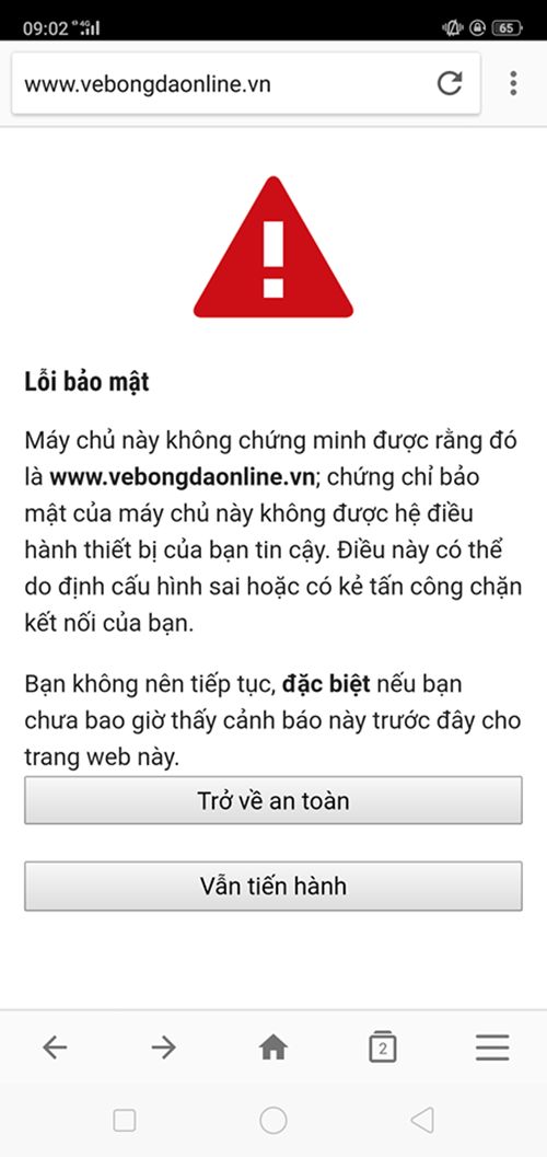 Buc xuc vi canh ca buoi van khong mua duoc ve online Viet Nam - Philippines-Hinh-2