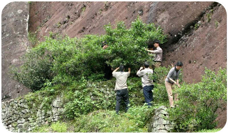 Giat minh gia tra thuong hang chi danh cho gioi thuong luu-Hinh-4