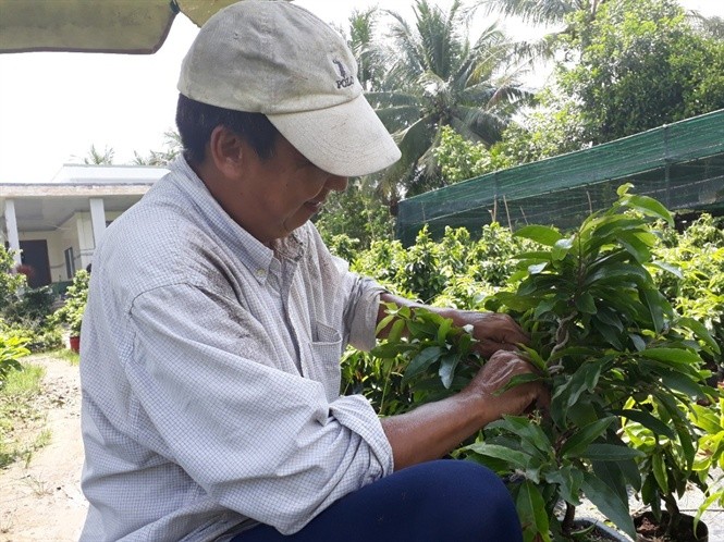 Lang hoa kieng khap nuoc tat bat vao vu Tet-Hinh-9