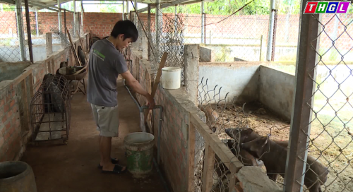 Nuoi lon, hang loat dai gia Viet kiem bon tien-Hinh-11