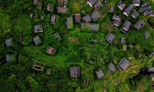 Nha phu kin cay xanh dep me man trong ngoi lang bo hoang