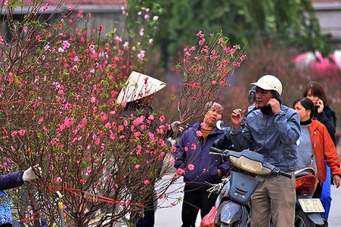 Nhung cho hoa Tet noi tieng tu Bac vao Nam-Hinh-6