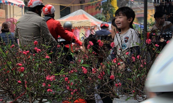 Nhung cho hoa Tet noi tieng tu Bac vao Nam