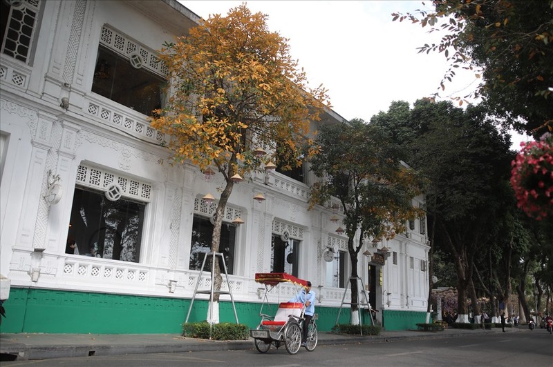 Ngam nha Ha Noi dep ngo ngang mua cay thay la-Hinh-3