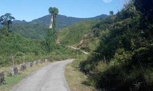 Giai ma bi an kho vang khong lo giua dai ngan Truong Son