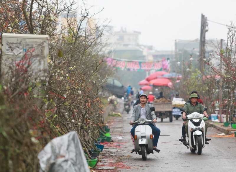 Thu choi hoa dat do cua nha giau Viet sau Tet Nguyen dan-Hinh-3