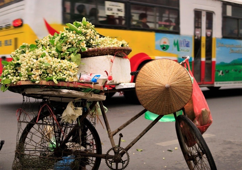 Thu choi hoa dat do cua nha giau Viet sau Tet Nguyen dan-Hinh-6