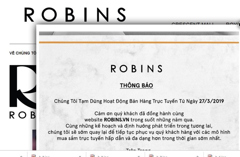Robins online hoanh trang the nao truoc khi dong cua o Viet Nam?