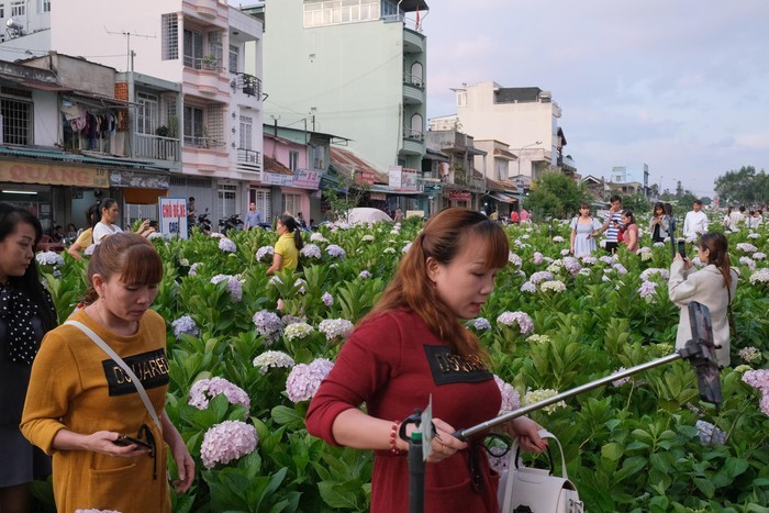 Canh 'nguoi ngam nguoi' o cac diem den noi tieng cua Da Lat-Hinh-4