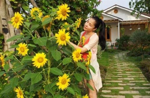 Do vuon hoa ruc ro trong nha my nhan Viet-Hinh-11