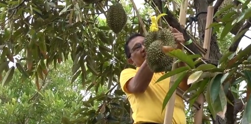 Dot nhap thu phu sau rieng co gia hang tram trieu, bang ca 1 can ho hang trung-Hinh-5