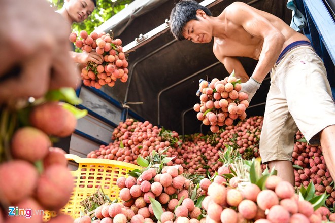 Vai thieu 50.000 dong/kg, nguoi dan un un cho xuong cho-Hinh-10