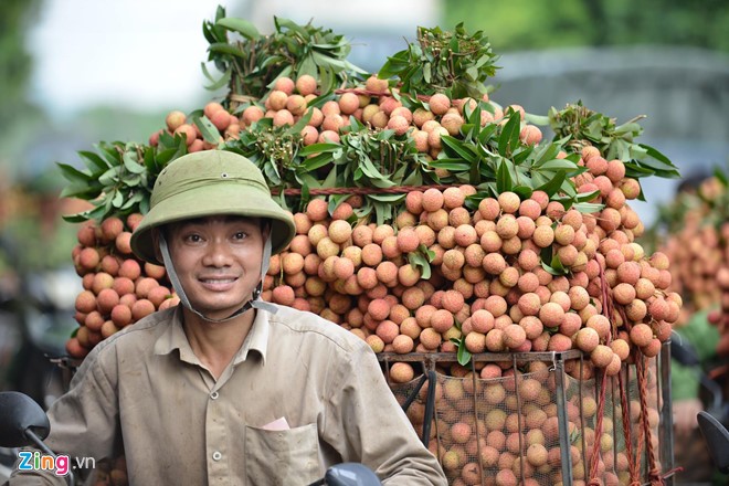 Vai thieu 50.000 dong/kg, nguoi dan un un cho xuong cho-Hinh-6