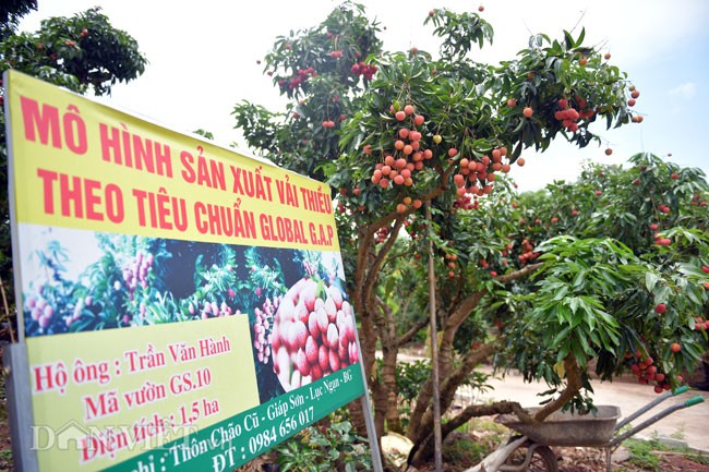 Vai thieu “de” tren than: Bi quyet kiem tien ty chang ai ngo toi-Hinh-2