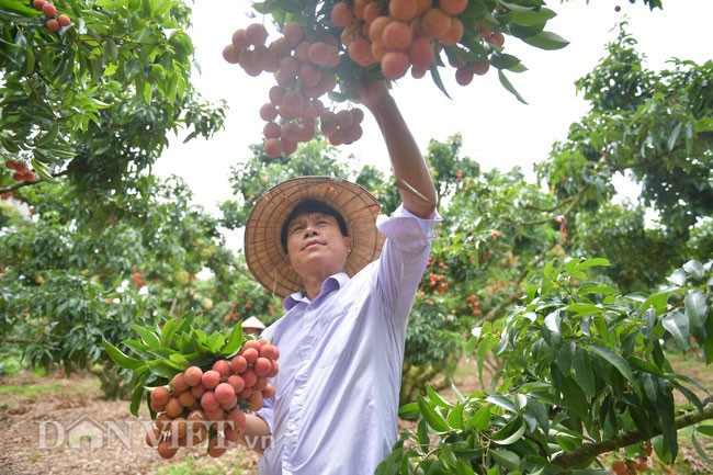 Vai thieu “de” tren than: Bi quyet kiem tien ty chang ai ngo toi-Hinh-4