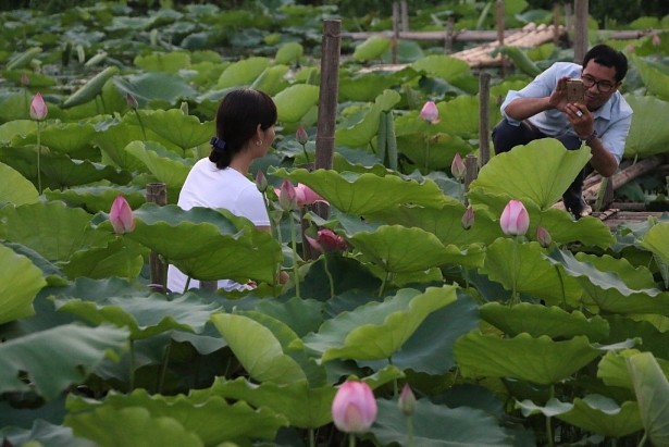 Chup anh hoa sen, pho nhay thu nhap khung “kho luong“-Hinh-10