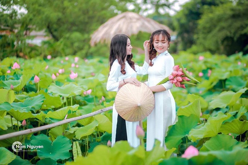 Chup anh hoa sen, pho nhay thu nhap khung “kho luong“-Hinh-5