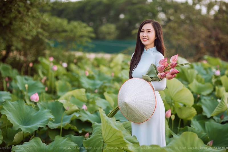 Chup anh hoa sen, pho nhay thu nhap khung “kho luong“-Hinh-9