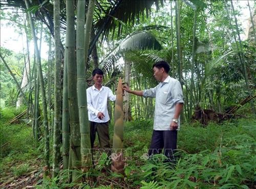 Ngo ngang xem nguoi dan “hot bac” hang tram trieu tu trong tre lay mang-Hinh-6