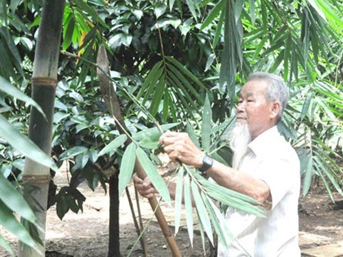 Ngo ngang xem nguoi dan “hot bac” hang tram trieu tu trong tre lay mang-Hinh-9