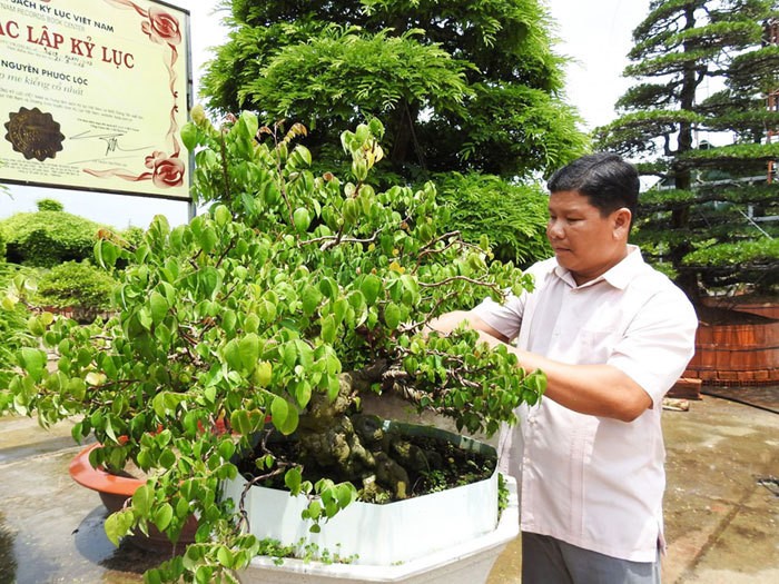 Bo ngang truong Bach Khoa, chang trai Dong Thap thanh dai gia, chu vuon kieng tram ty