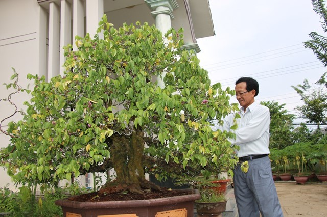 Choang vang khe bonsai tien ty uon luon hon ca duong cong Ngoc Trinh-Hinh-11