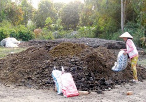 Bo 3 soc, phan kho: La lung du thu quai di nguoi Trung Quoc gom mua-Hinh-10