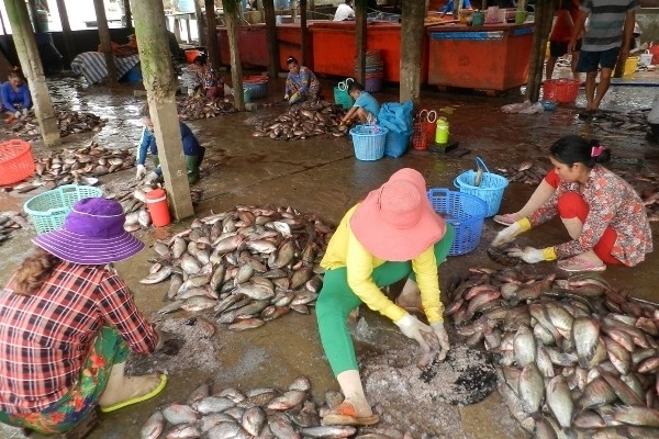 Bo 3 soc, phan kho: La lung du thu quai di nguoi Trung Quoc gom mua-Hinh-6