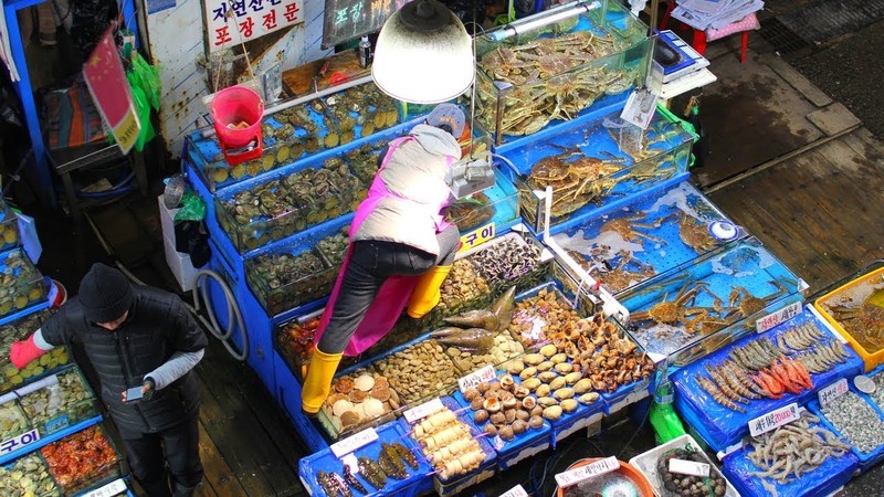 Ben trong khu cho hai san lon nhat Seoul, cao 8 tang Ngoc Trinh vua ghe tham-Hinh-4