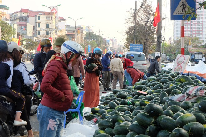 Tham canh thanh long, dua hau, mit Viet e am vi dich corona-Hinh-7