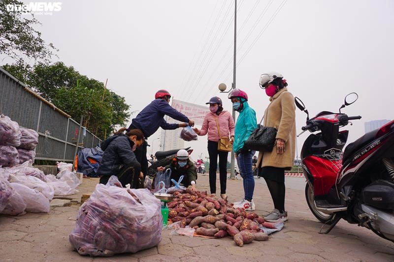 Khoai lang ngon ngang tren via he Ha Noi, cho khach 