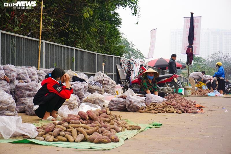 Khoai lang ngon ngang tren via he Ha Noi, cho khach 