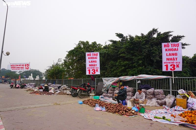 Khoai lang ngon ngang tren via he Ha Noi, cho khach 