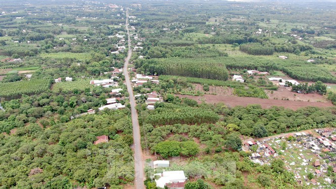 Can canh khu dat hon 1,8 nghin ha dang thu hoi lam san bay Long Thanh-Hinh-12