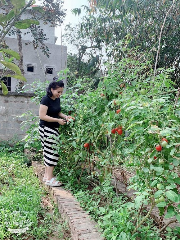 Loa mat nha vuon nghin m2 cua dai gia o ngoai thanh Ha Noi-Hinh-7