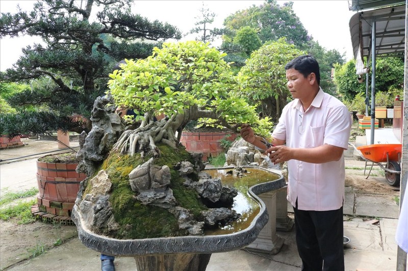 Muc so thi nhung khu vuon bonsai tien ty, dai gia quy hon vang-Hinh-7