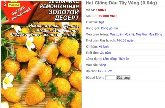 Dau tay mau vang cong dung giup tran tre sinh luc-Hinh-10