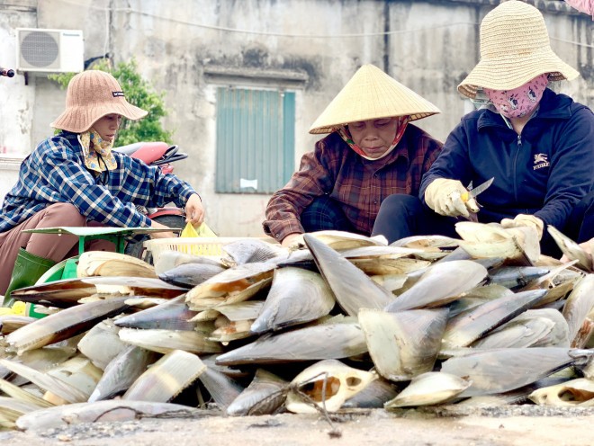 Ngu dan Ha Tinh kiem tien trieu moi ngay-Hinh-12