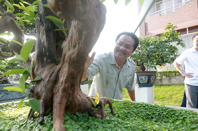 Bonsai oi “Te tuong Luu gu” chu nhan quy hon vang-Hinh-9