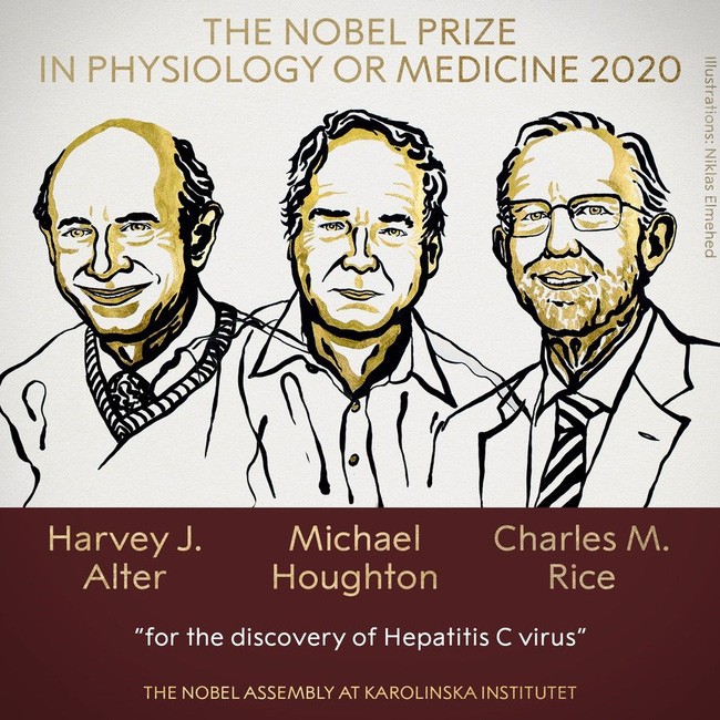 Nobel Y hoc 2020 vinh danh nghien cuu ve virus viem gan C