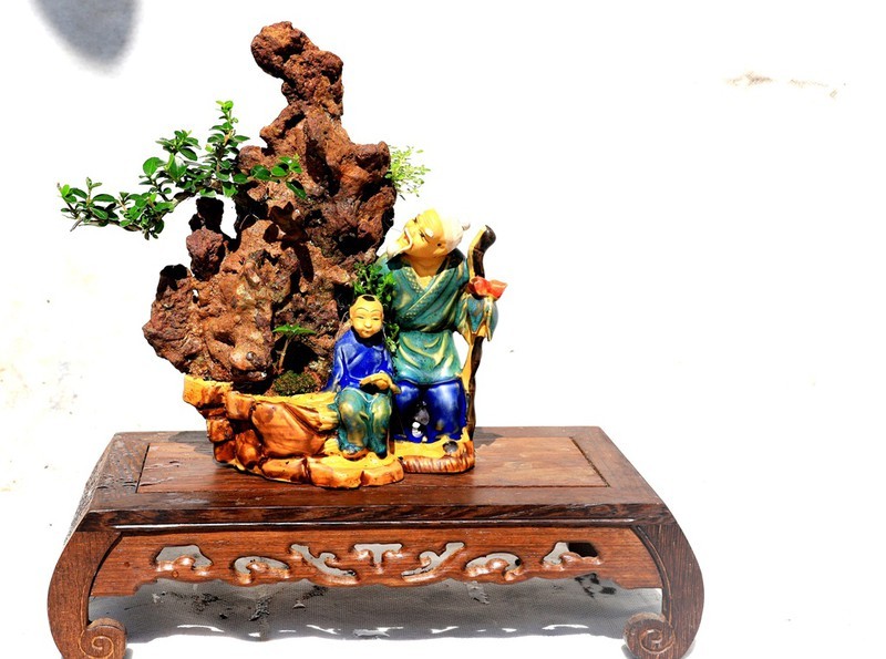 Man nhan bo suu tap bonsai mini ky luc the gioi cua lao nong Khanh Hoa-Hinh-8