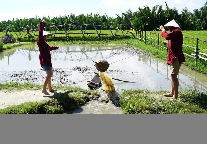 Ru Tay ra dong cuoi trau, dam bun phoi nang... dan Hoi An thu tien do-Hinh-11